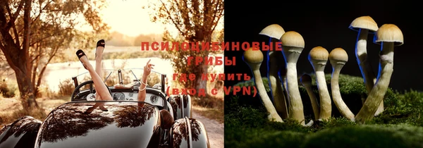 ALPHA-PVP Белокуриха