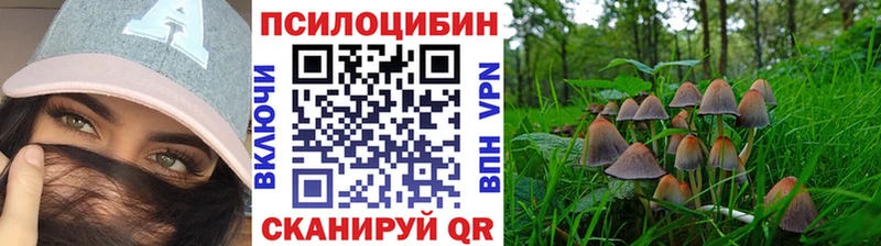маркетплейс официальный сайт Лыткарино Псилоцибиновые грибы Psilocybine cubensis