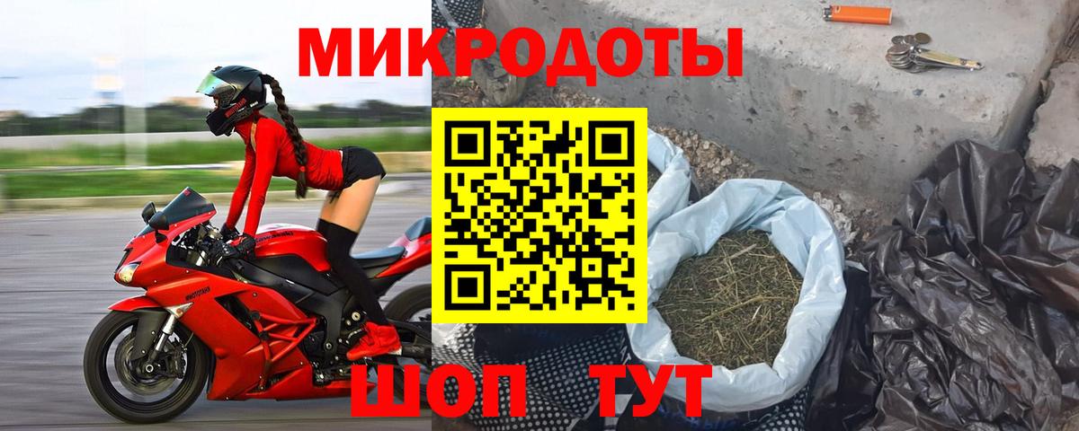 Галлюциногенные грибы Psilocybe Лыткарино